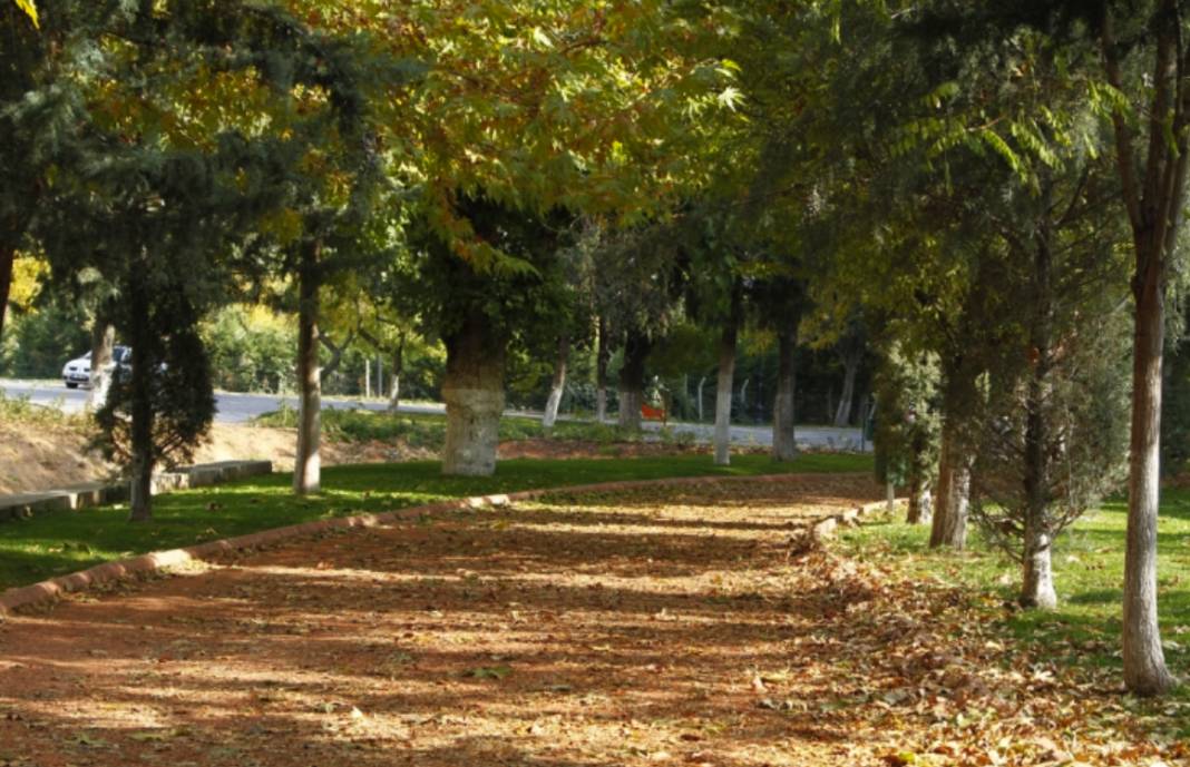 Gaziantep'te Gazel Depeleme Zamanı...  Gaziantep'e Has Gazel Depeleme Geleneği Nedir? 2